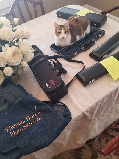 Esther, The Thomas Horter Flute Services Mascot